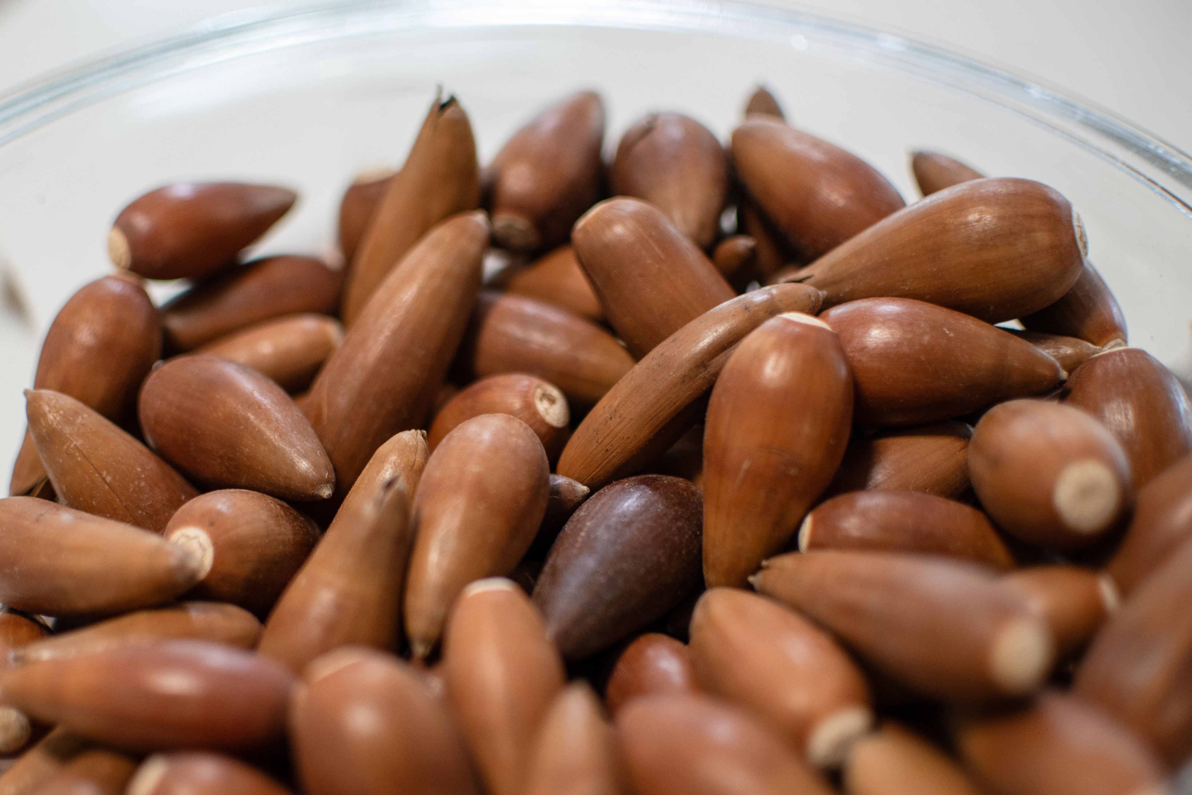 Acorns in a bowl. 